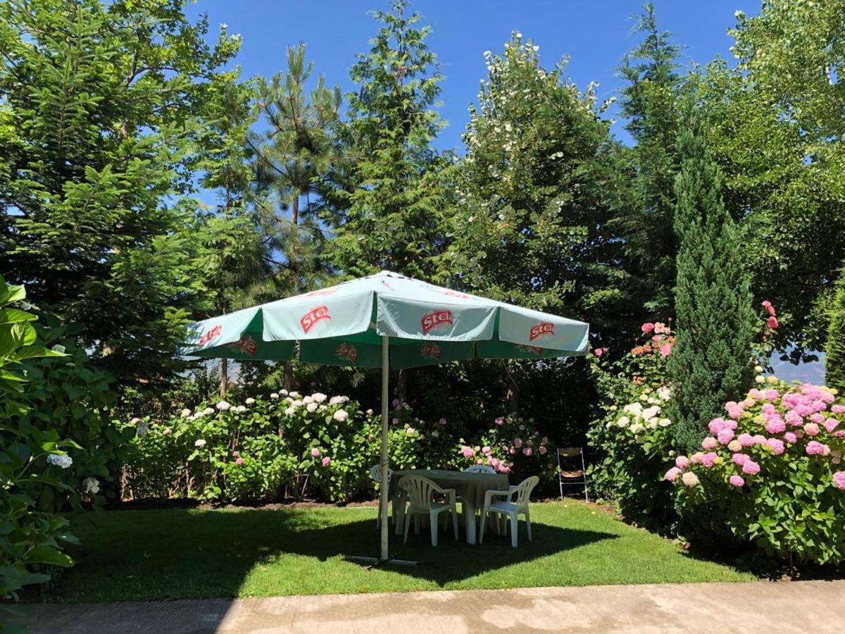 Vila Deni Tushemisht Exteriér fotografie
