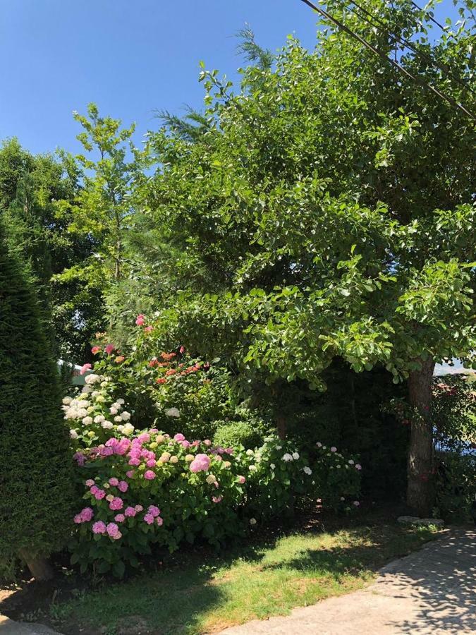 Vila Deni Tushemisht Exteriér fotografie