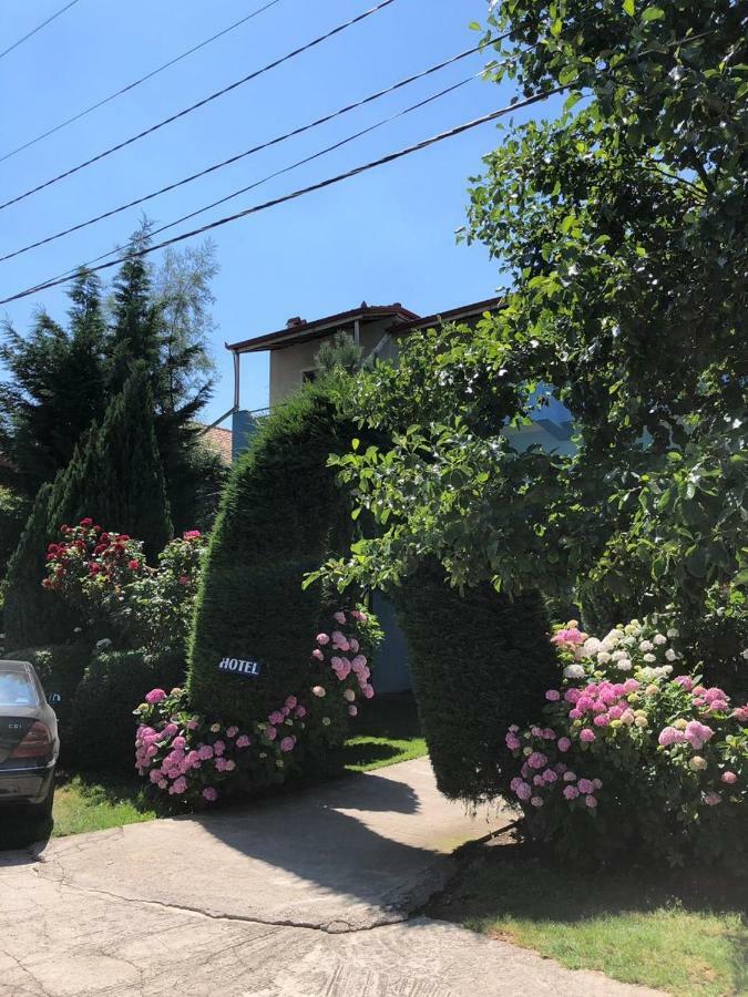 Vila Deni Tushemisht Exteriér fotografie
