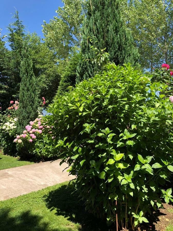 Vila Deni Tushemisht Exteriér fotografie