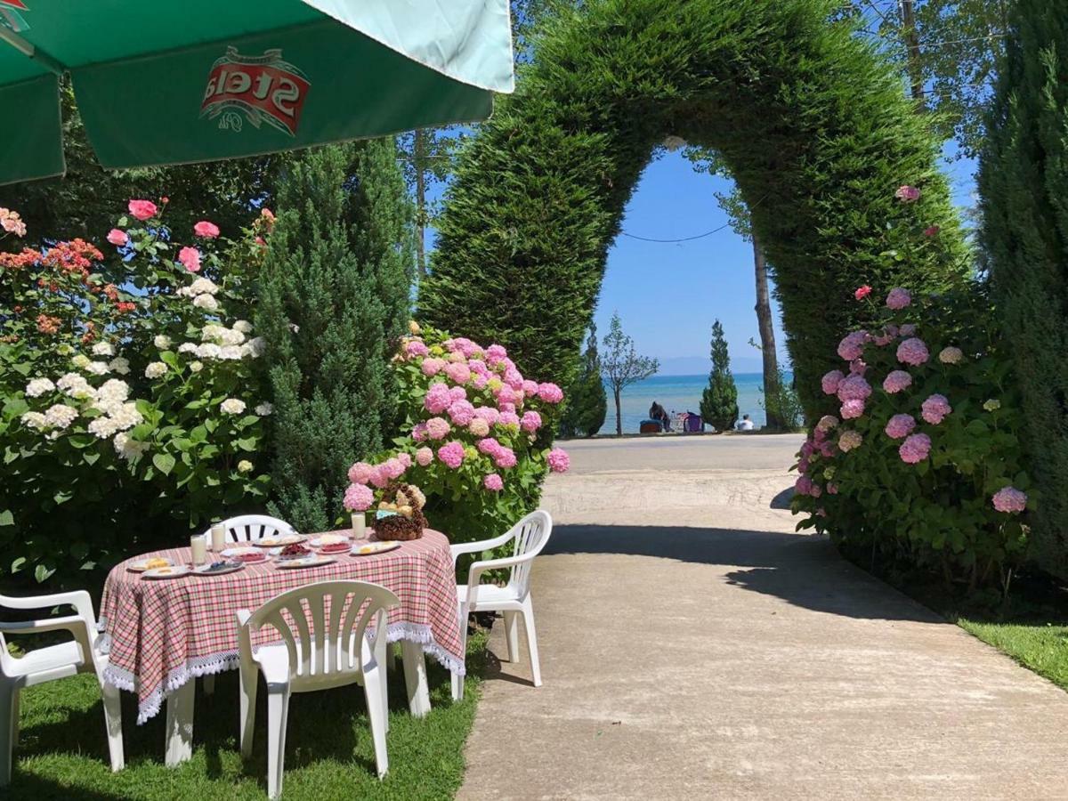 Vila Deni Tushemisht Exteriér fotografie