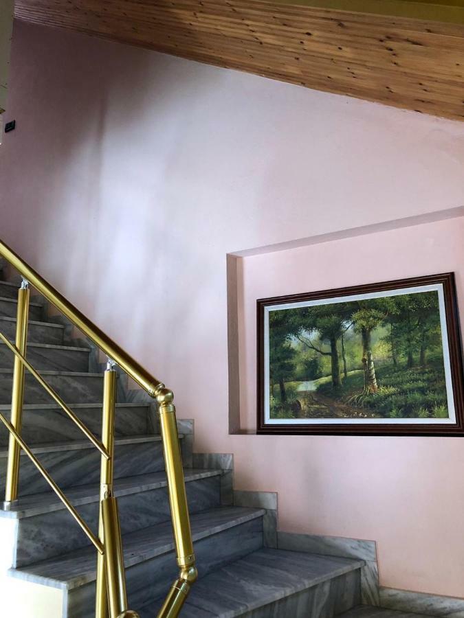 Vila Deni Tushemisht Exteriér fotografie